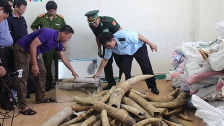 Phòng chống tội phạm buôn lậu như thế nào cho hiệu quả? (29/12/2015)