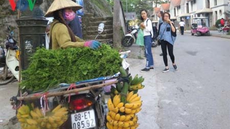 Để người lao động di cư được thụ hưởng các chính sách về an sinh xã hội. (16/01/2016)