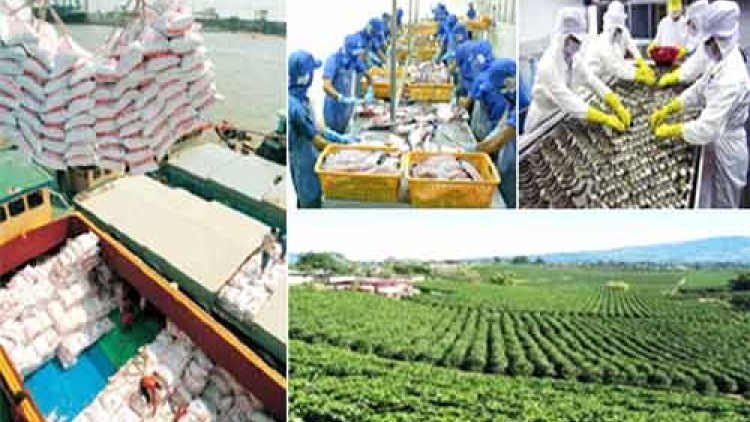 Lần đầu tiên sau 10 năm tăng trưởng chậm chạp, khối nông lâm nghiệp và thủy sản tăng trưởng âm do hạn hán và xâm nhập mặn. (Thời sự trưa 26/3/2016)
