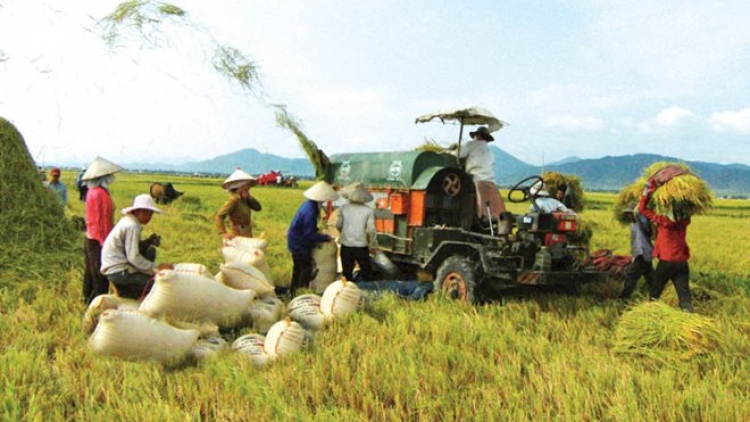 Làm nông bằng trí. (23/2/2016)