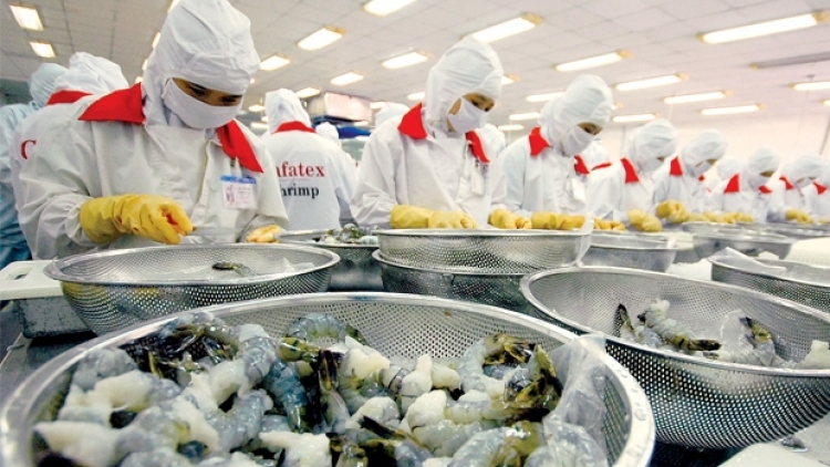 Suy giảm xuất khẩu thủy sản năm 2015 và áp lực cho năm 2016. (02/01/2016)