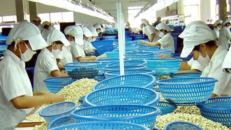 Xuất khẩu nông sản - những bước đi cần thiết. (12/4/2016)