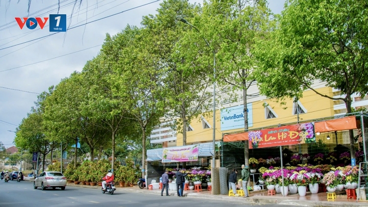 Đắk Lắk tăng cường đảm bảo trật tự và mỹ quan trong dịp Tết