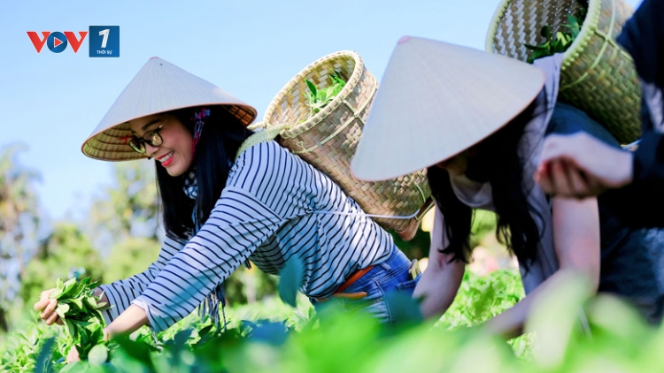 Theo dòng thời sự chiều 26/2/2025