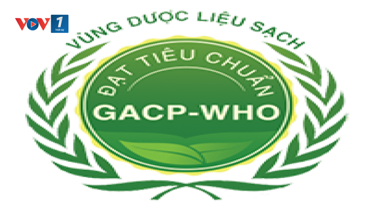 Chứng nhận 05 vùng trồng đạt chuẩn GACP-WHO