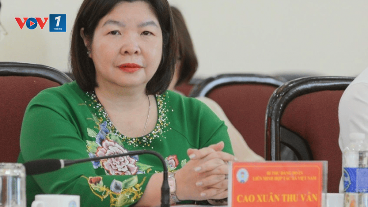 Nâng cao vai trò kết nối của HTX trong việc thực thi chính sách (12/02/2025)