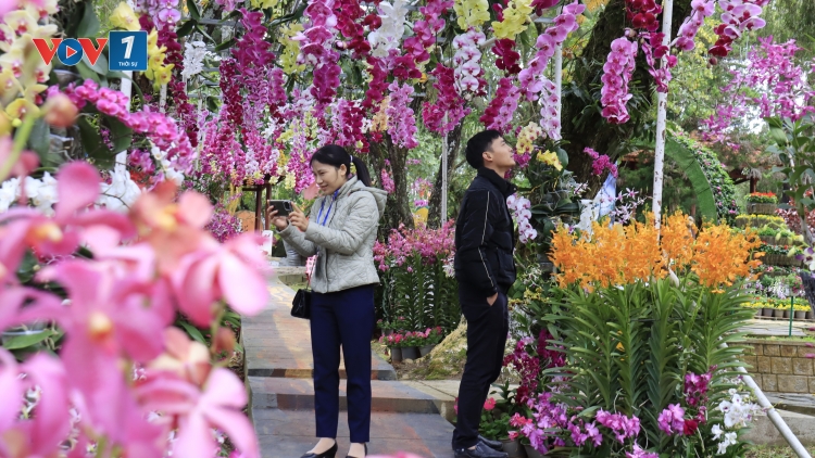 Hoa Đà Lạt mở khóa công nghệ để tăng sức cạnh tranh