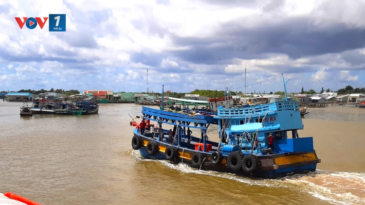 Cà Mau: Thu hay không thu tiền cước thiết bị giám sát tàu cá (5/3/2025)