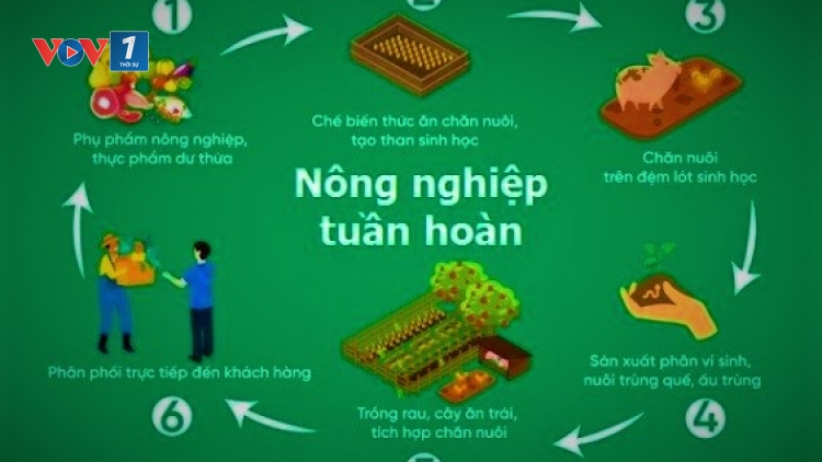 Phát triển nông nghiệp tuần hoàn: Những giải pháp cần thực hiện (17/3/2025)