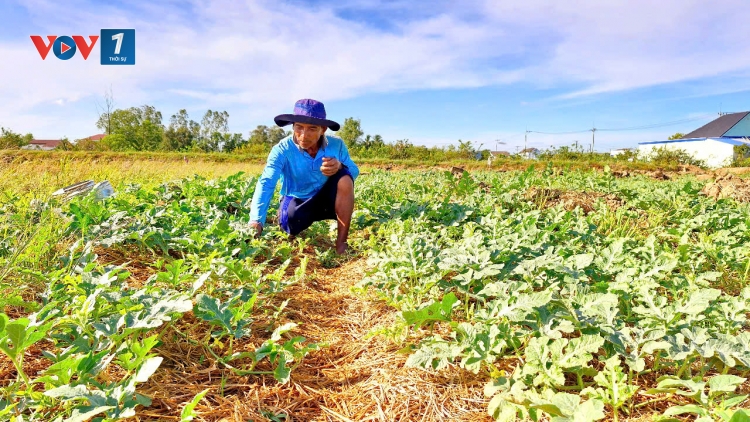 Phát huy kinh nghiệm trong ứng phó với hạn mặn (20/03/2025)