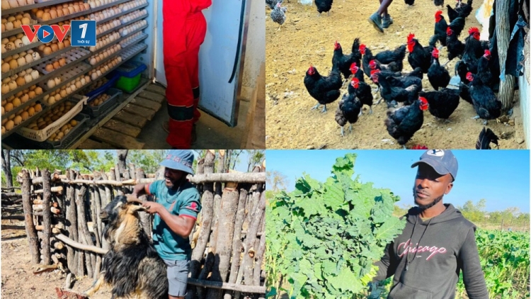 Câu chuyện về mô hình phát triển nông nghiệp xanh, bền vững gắn với du lịch nông thôn ở Zimbabwe