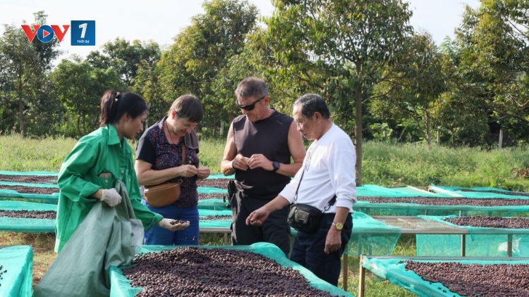 Nâng cao chất lượng nông sản trước quy định của thị trường EU (18/03/2025)