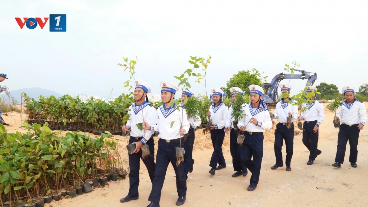 Vùng 4 Hải quân thí điểm phủ xanh bán đảo Cam Ranh