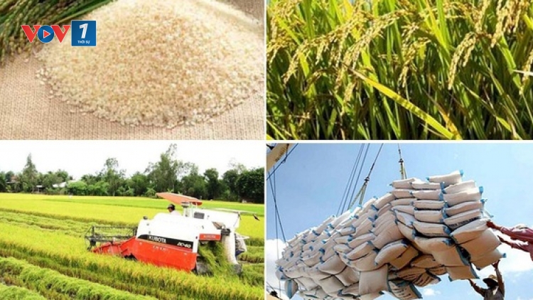 Thời sự 6h 5/3/2025: Thủ tướng chỉ đạo thực hiện các giải pháp đảm bảo cân đối cung cầu lúa gạo