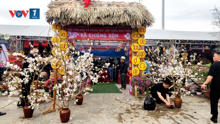 Tiếng trống rộn ràng trong lễ hội hoa ban TP Sơn La