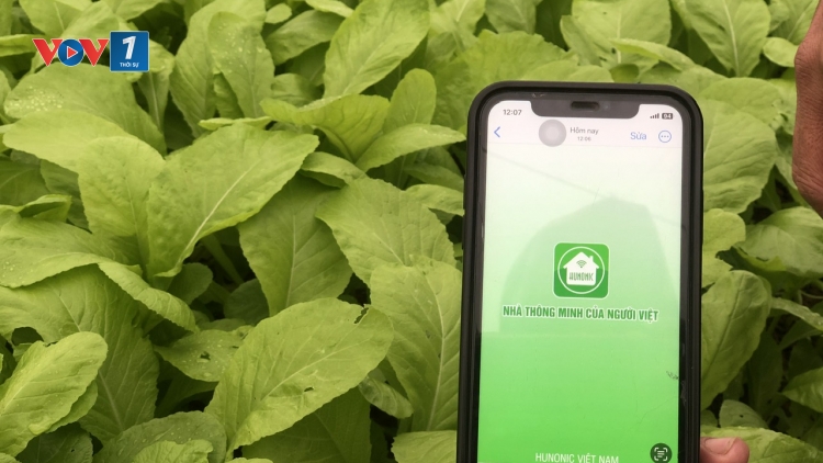 Hiện đại hóa nông nghiệp từ những ứng dụng công nghệ thực tiễn (25/04/2025)