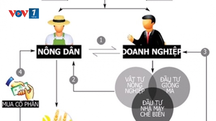 Thúc đẩy chuỗi liên kết nông dân, doanh nghiệp (12+13/04/2025)