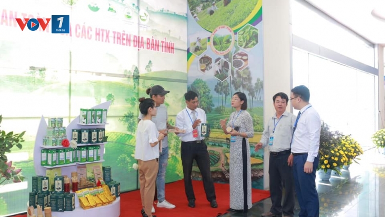 Phát triển hợp tác xã trong bối cảnh mới (29/04/2025)
