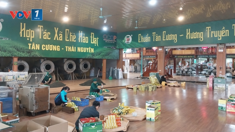 Thái Nguyên: Phát triển kinh tế bền vững bằng sản phẩm OCOP