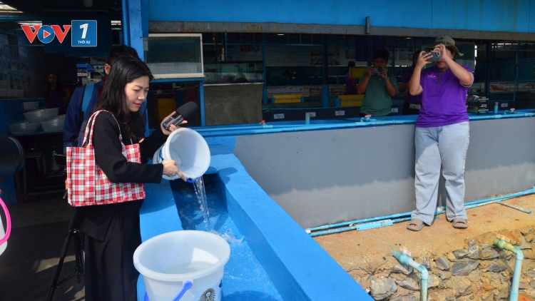 Koh Si-chang (Thái Lan): Bảo tồn ghẹ xanh, cải thiện sinh kế người dân (22/04/2025)