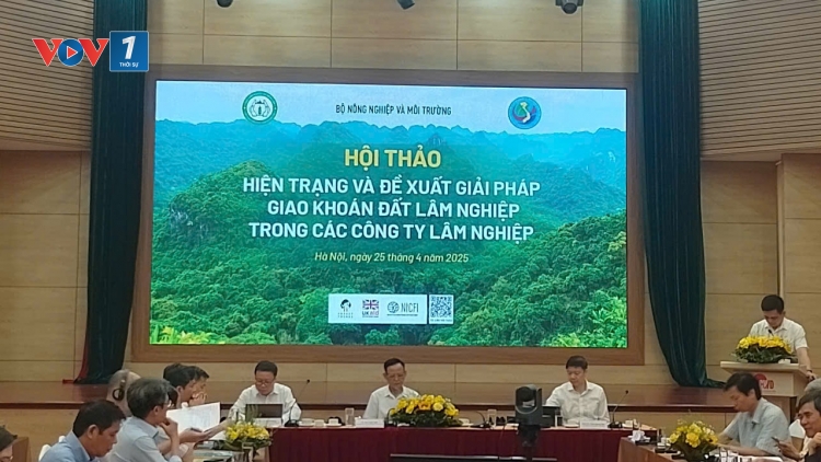 Giải pháp giao khoán đất lâm nghiệp trong các công ty lâm nghiệp