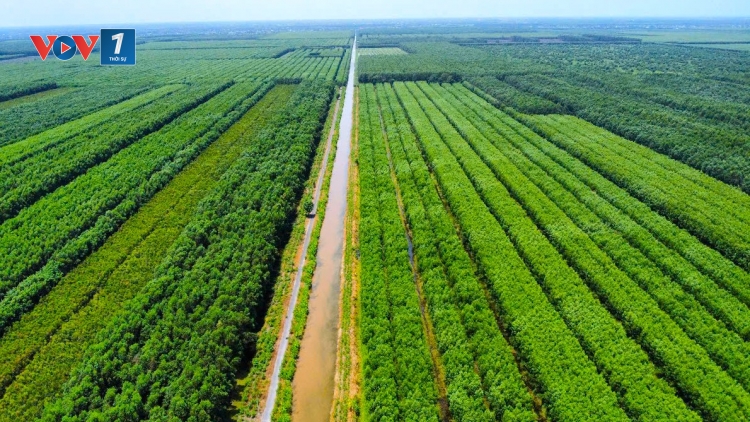 Cà Mau: Hơn 3.600 ha rừng báo cháy cấp cực kỳ nguy hiểm