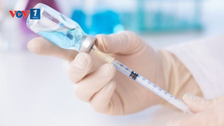 Tiêm vaccine, cách duy nhất để phòng tránh bệnh dại (24/04/2025)