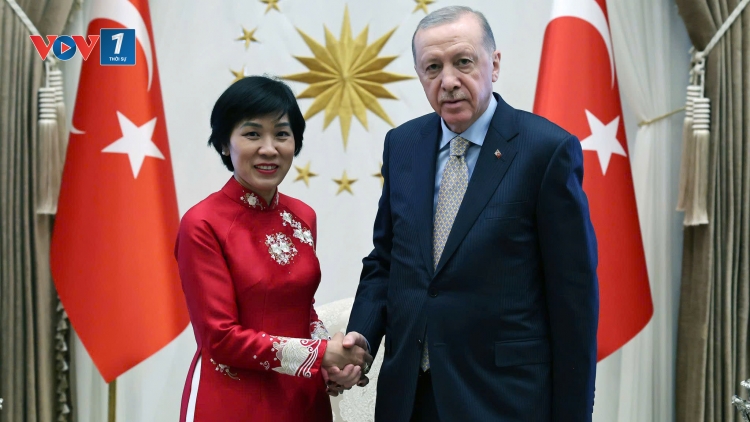 Đại sứ Việt Nam Đặng Thị Thu Hà trình Quốc thư  lên Tổng thống Recep Tayyip Erdoğan