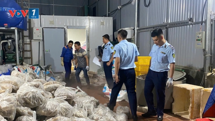 Chi cục quản lý thị trường Hà Nội phát hiện gần 11 tấn thịt và nội tạng bò không rõ nguồn gốc
