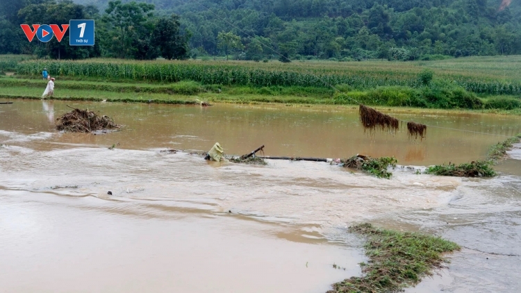 Mưa lớn diện rộng gây lũ trên toàn bộ hệ thống sông ngòi Lào Cai