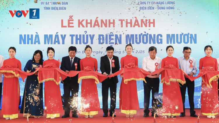 Bản tin 15h 15/5/2025