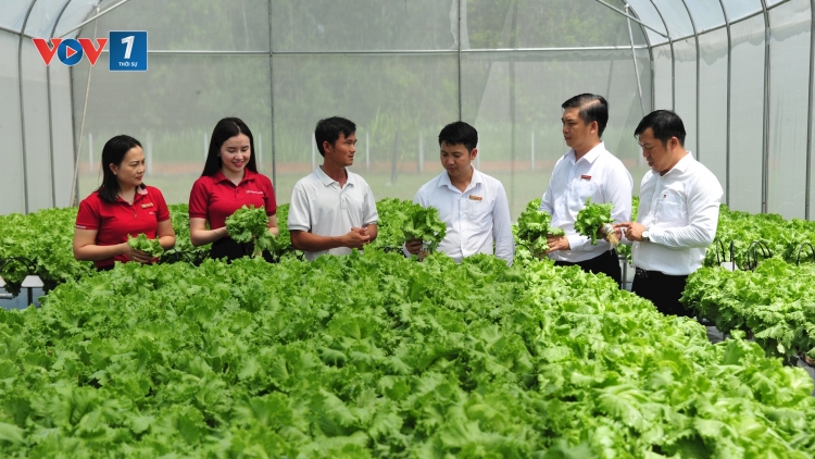 Tháo gỡ “nút thắt” pháp lý để bảo hiểm nông nghiệp đến gần hơn với nông dân