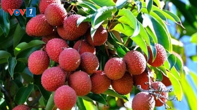 Câu chuyện về một người dám làm trước, dám làm khác