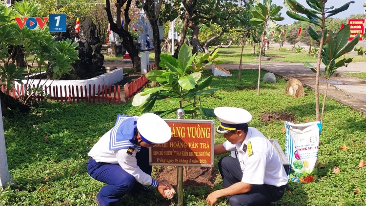 Xanh hóa Trường Sa: Khát vọng nơi đảo xa