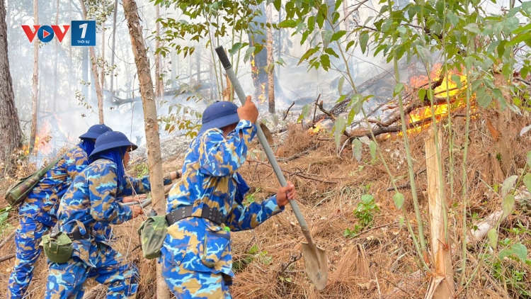 Lữ đoàn 147 tham gia chữa cháy rừng tại TP. Hạ Long, tỉnh Quảng Ninh.
