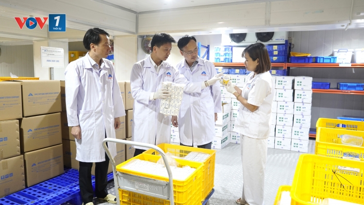 Xuất khẩu 120 nghìn liều vác-xin dịch tả lợn Châu Phi sang Indonesia