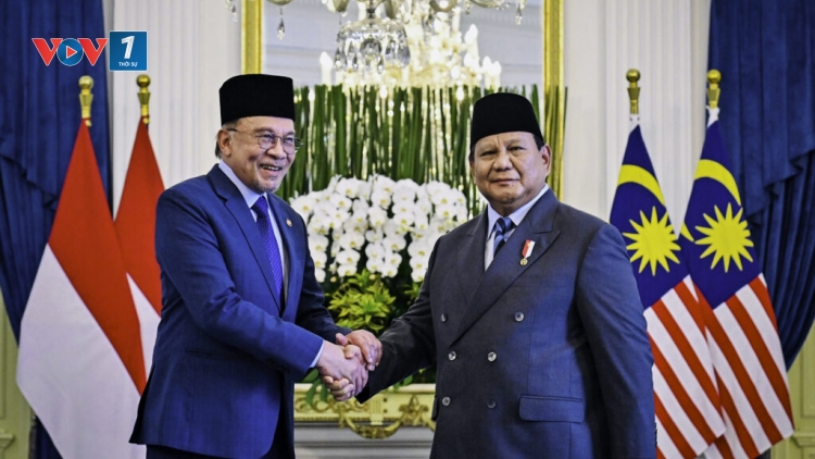 Tổng thống Indonesia đưa ra bước đi chiến thuật củng cố vị thế trong đàm phán thuế quan với Mỹ