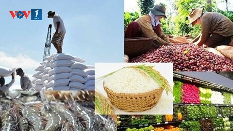 Nông dân làm giàu nhờ nông sản xuất khẩu (30/06/2025)