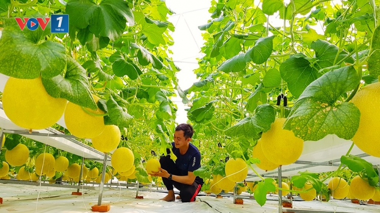Chuyển đổi số trong phát triển kinh tế nông nghiệp, xây dựng nông thôn (16/06/2025)