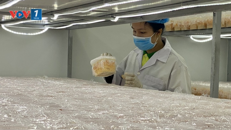 Bà Rịa – Vũng Tàu nỗ lực đưa sản phẩm OCOP đến người tiêu dùng