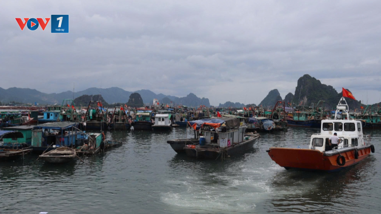 Quảng Ninh chủ động ứng phó với bão số 1