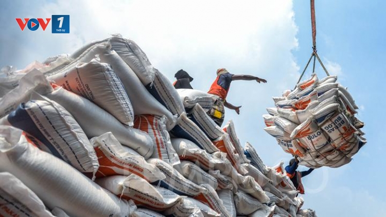 Indonesia: Thao túng chất lượng và giá cả gạo gây thiệt hại hàng tỷ đôla Mỹ cho người tiêu dùng
