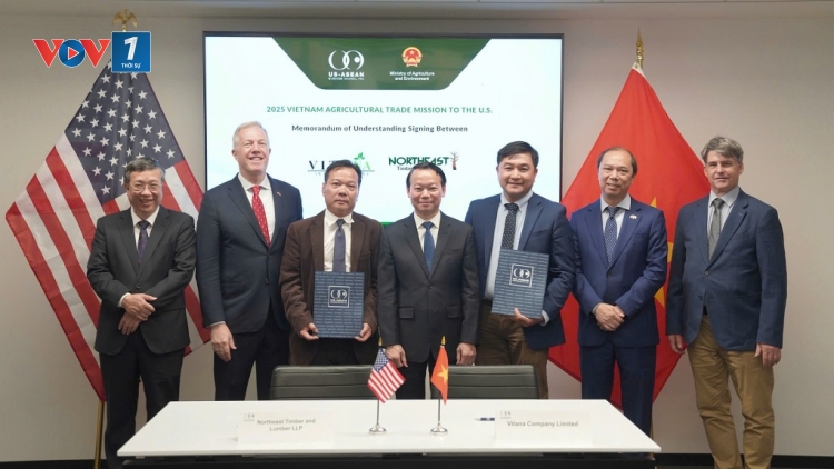 Thời sự 18h 8/6/2025: Việt Nam ký thỏa thuận nhập gần 3 tỷ USD nông sản từ Hoa Kỳ
