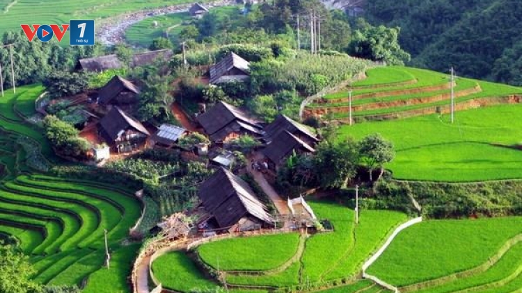 Liên kết vùng - Đòn bẩy gia tăng giá trị nông sản Tây Bắc (08/07/2025)