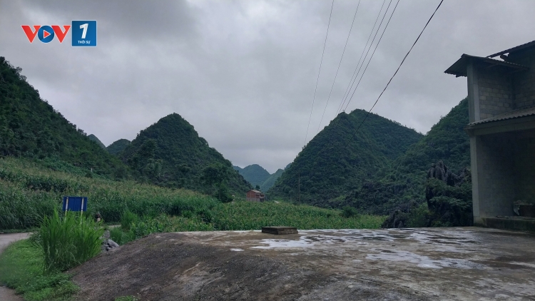 Tuyên Quang: Phòng chống tái trồng cây thuốc phiện tại các xã vùng biên