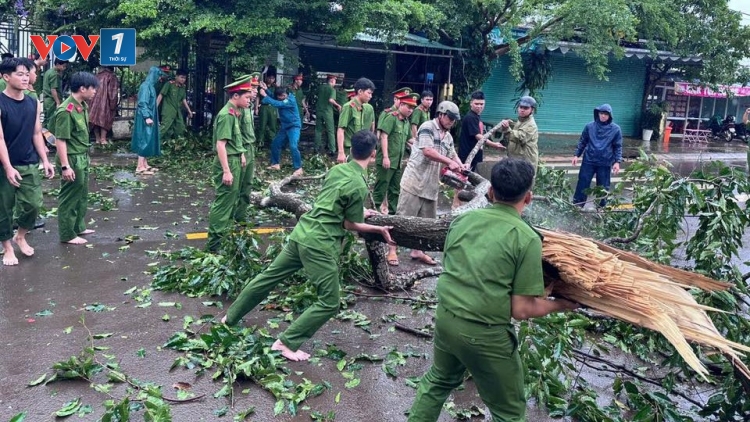 Cây xanh ngã đổ, nhà tốc mái do mưa gió tại Đồng Nai