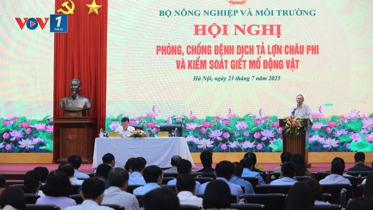 Xử lý nhanh các ổ dịch tả lợn Châu Phi, giám sát chặt cơ sở giết mổ động vật
