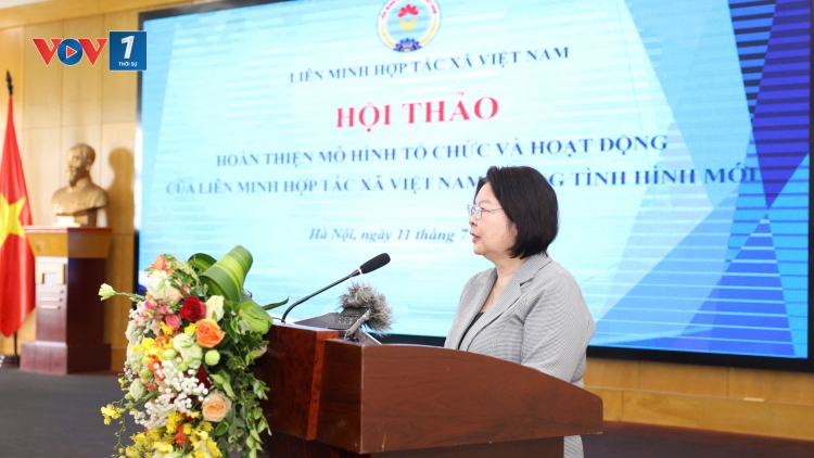 Hoàn thiện tổ chức, hoạt động của hệ thống Liên minh HTX Việt Nam trong tình hình mới (11/07/2025)