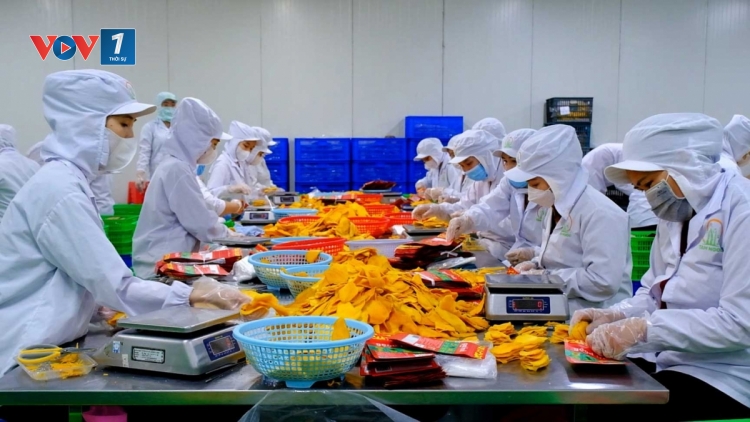 Chế biến sâu, tiêu chí xanh – điểm tựa nông sản phát triển bền vững (07/07/2025)