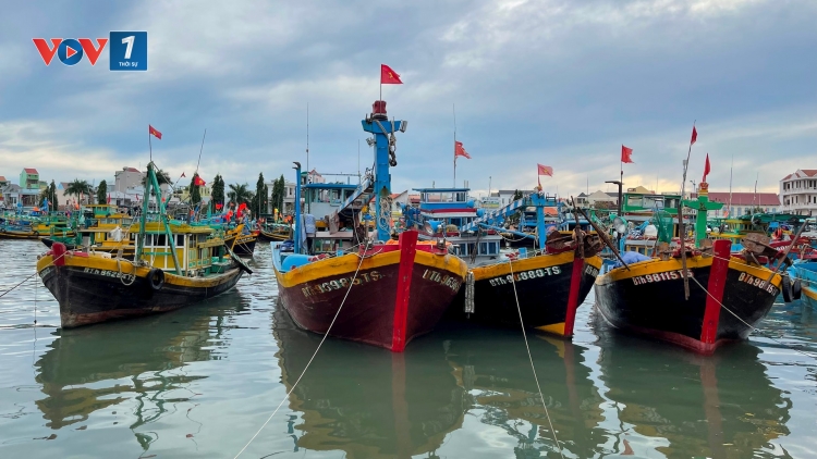 Bộ Y tế: Mỗi bệnh viện chuẩn bị 2 đội cấp cứu lưu động để ứng phó kịp thời với bão số 5